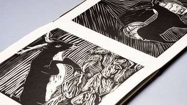 A deer wanders through a newly built suburban neighborhood before being stunned by oncoming headlights