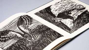 A person sets out rat poison and once the rat ingests it, the rodent scuttles outside before being caught by a hawk.