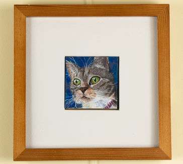 portrait of her cat, staring left, bright eyed, at some birds outside