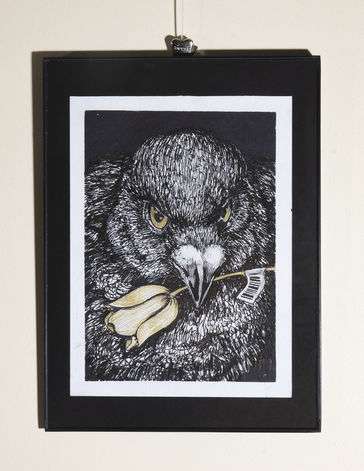 Rock Dove holding a golden flower in its beak 